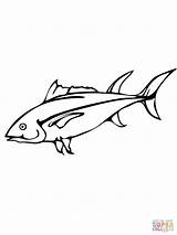 Tuna Coloring Fish Pages Yellowfin Pacific Bluefin Salmon Drawing Color Kids Printable Getdrawings Drawings 1000px 38kb sketch template