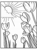 Everfreecoloring Tulips Getdrawings sketch template