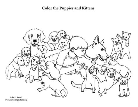 coloring pages  puppies  kittens bornmodernbaby