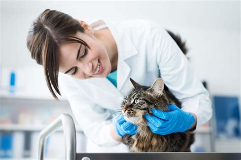 top benefits    veterinarian technician