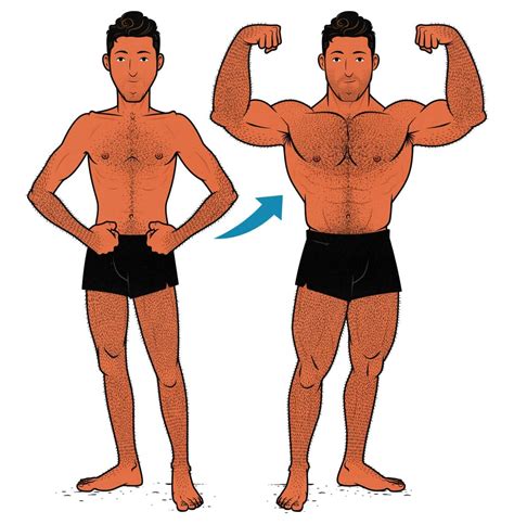 the newbie gains guide for skinny guys
