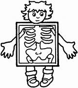 Body Coloring Human Pages sketch template