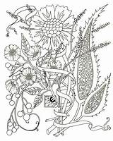 Coloring Pages Adults Adult Flower Pdf Flowers Paisley Printable Color Spring Abstract Print Kids Colouring Floral Mediterranean Azcoloring Easy Cynthia sketch template