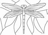 Mewarnai Capung Dragonfly sketch template