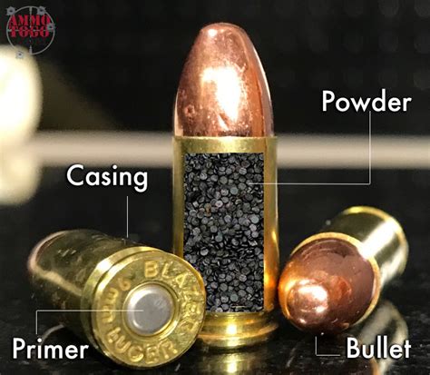 What Are The Basic Parts Of Ammunition The Components Of Ammo
