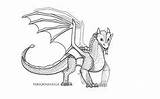 Sandwing Peregrinecella Rainwing Dragons Hobbyist sketch template