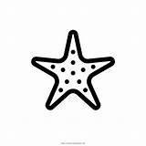 Seestern Ausmalbilder Estrela Starfish Ultracoloringpages Colorir Flop Xcolorings sketch template