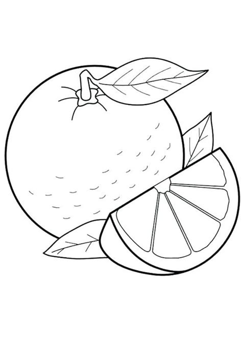 coloring  kids fruits printable coloring pages  kids