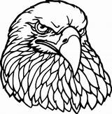 Bald Carving Eagles Pyrography Inkace sketch template