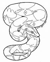 Boa Snake Constrictor Coloring Line Anaconda Drawing Clipart Python Pages Burmese Drawings Library Deviantart Color Cliparts Clipartmag Getdrawings Snakes Printable sketch template