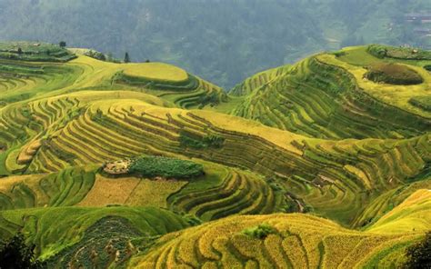 beautiful longji rice terraces  china images fontica
