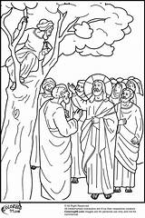 Zacchaeus Zaccheus sketch template