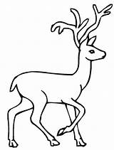 Deer Coloring Clipartbest Printable Pages Clipart sketch template