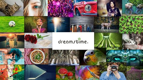 stock   dreamstime    find    stock   quality