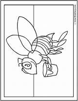 Bee Coloring Pages Honey Worker Sheets Hives Colorwithfuzzy sketch template