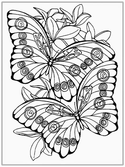 butterfly coloring pages  adults coloring pages