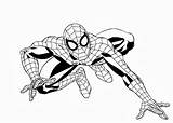 Spiderman Coloring Pages Kids sketch template