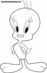 Tweety Bird Coloring Looney Tunes Drawing Easy Draw Pages Book Print Step Steps Tutorial Printout Drawinghowtodraw 2010 sketch template