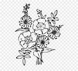 Sunflower Pinclipart sketch template