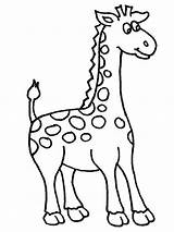 Giraffe Coloring African Amazing Netart sketch template