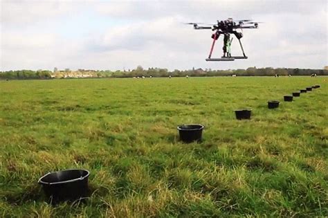 tree planting drones   restore  worlds forests london evening standard evening