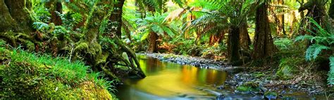 north queensland holidays north queensland holiday packages qld