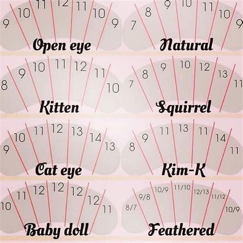 printable lash mapping template