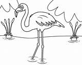 Bird Flamingo Coloring Coloringpages4u Flamingo2 sketch template