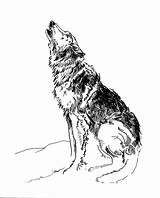 Wolf Howling Drawing Moon Pencil Draw Simple Getdrawings sketch template