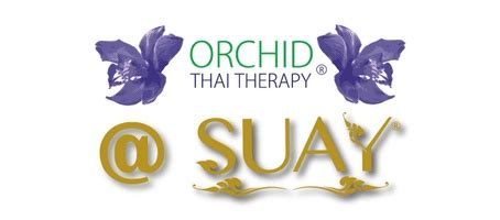 massage orchid thai therapy  suay