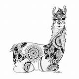 Zentangle Colouring Llamas Alpaca Kleurplaten Illustrations Archival Ink sketch template