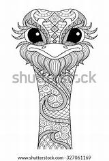 Zentangle Ostrich Mandala Drawn Owl sketch template