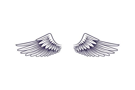 sketch angel wings flying hand drawn wing feathers decorat