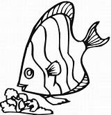 Ryba Peixe Peixes Kolorowanki Animais Riscos Wydruku Kolorowanka Kolorowa Colouring Ryby Comendo Syracuse Qdb sketch template