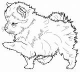 Pomeranian Coloring Puppy Pages Dog Categories sketch template