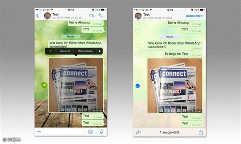 whatsapp fotos mit und ohne text weiterleiten connect