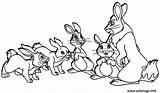 Coloriage Rabbits Dessin Lapins Paques Conejos Imprimer Lapin Colorier Imprimé Jecolorie Ad3 sketch template