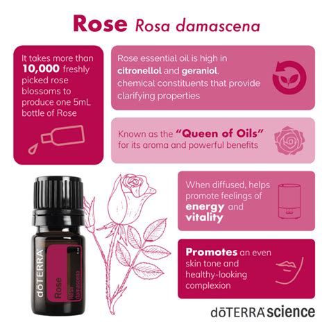 doterra rose essential oil doterra essential oils