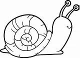 Caracol Snail Snails Desenhos Vectores Query Eliminar Params Filtros sketch template