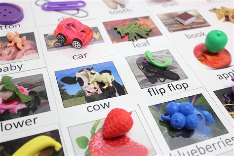 montessori object match  cards miniature objects  matching