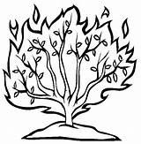 Bush Burning Coloring Bible Template Moses Pages Crafts Printable Craft Passover Drawing School Google Online Sheets Search Sunday Color Kids sketch template