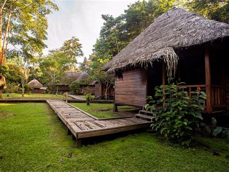jungle lodges   world trips  discover