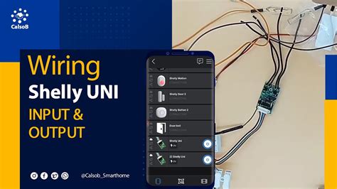 shelly uni output  input wiring youtube