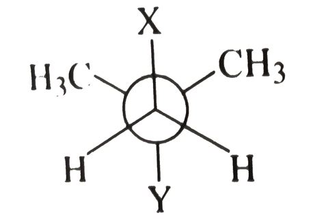 newman projection formula    dimethylbutane