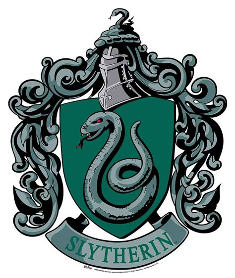 harry potter fans   explore  slytherin common room
