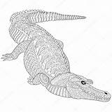 Crocodile Zentangle Krokodil Alligator Stylized Mandala Stilisierte Stiliserade Krokodilen Gestileerde Monster Illustrationen sketch template
