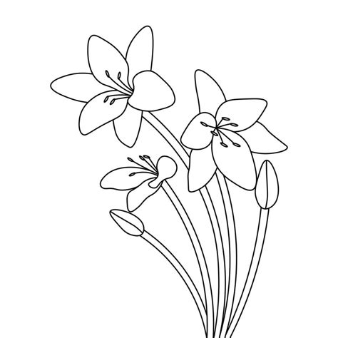 tropical flower illustration coloring page template  isolated