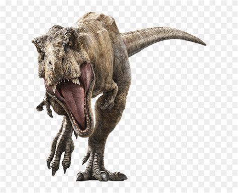 jurassic world  rex ausmalbild