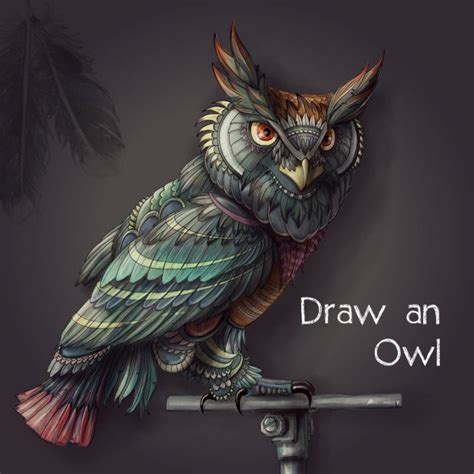 Have A Hoot And Enter Our Owl Drawing Challenge Picsart Blog