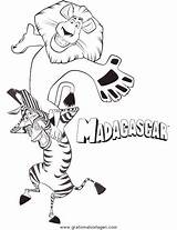 Madagascar Marty Colorare Disegni Melhore Cartone Colorir Colorier Trickfilmfiguren Colouring Animato Personaggio Clipart Malvorlage Tudodesenhos Library Fêtes Sorties Cartoni Condividi sketch template
